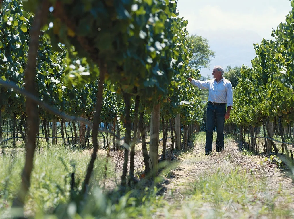 Wireless valve and field control