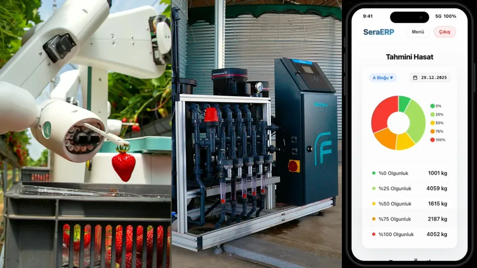 Fertima sistemlerinin birleşik görünümü