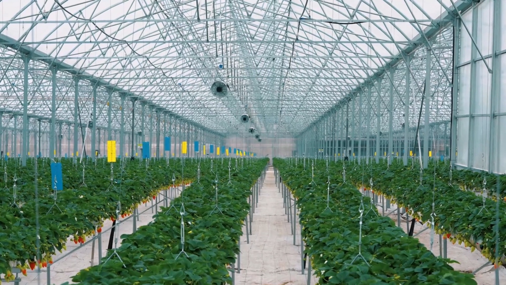 Greenhouse climate control