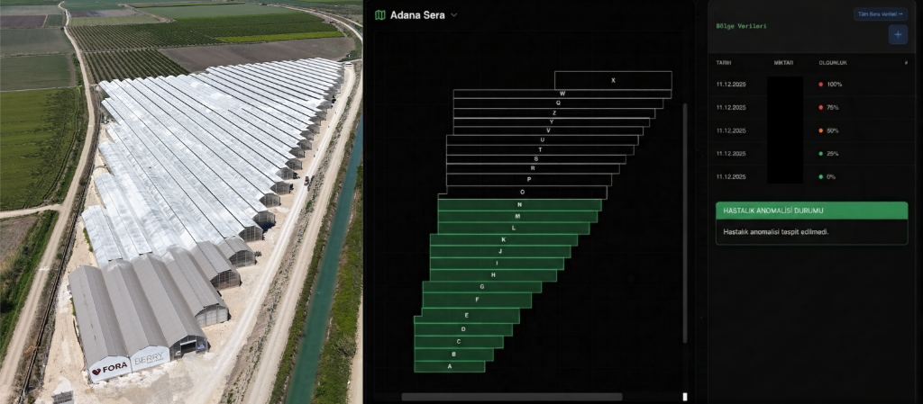 Automation and data layer