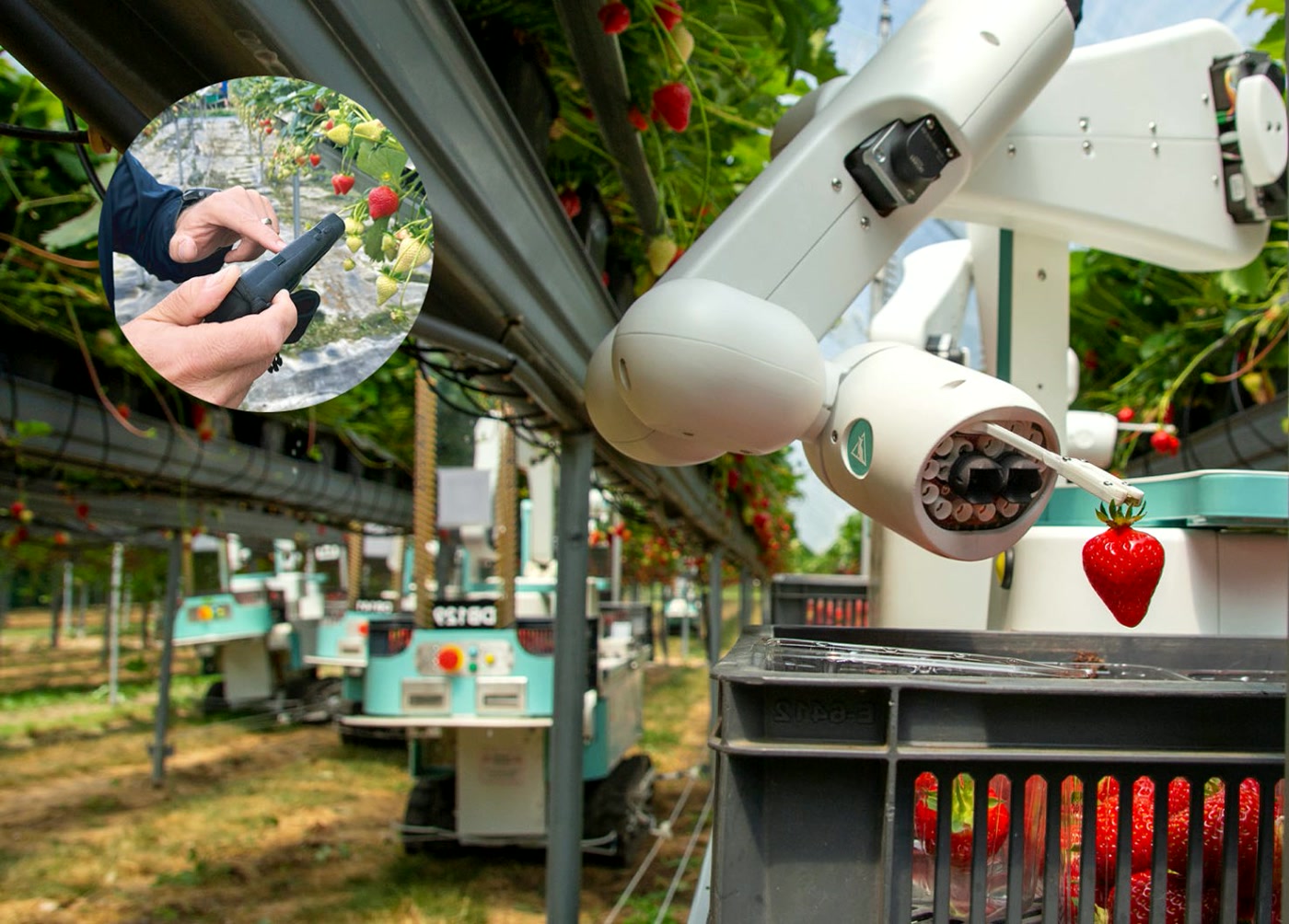 Field operations and training