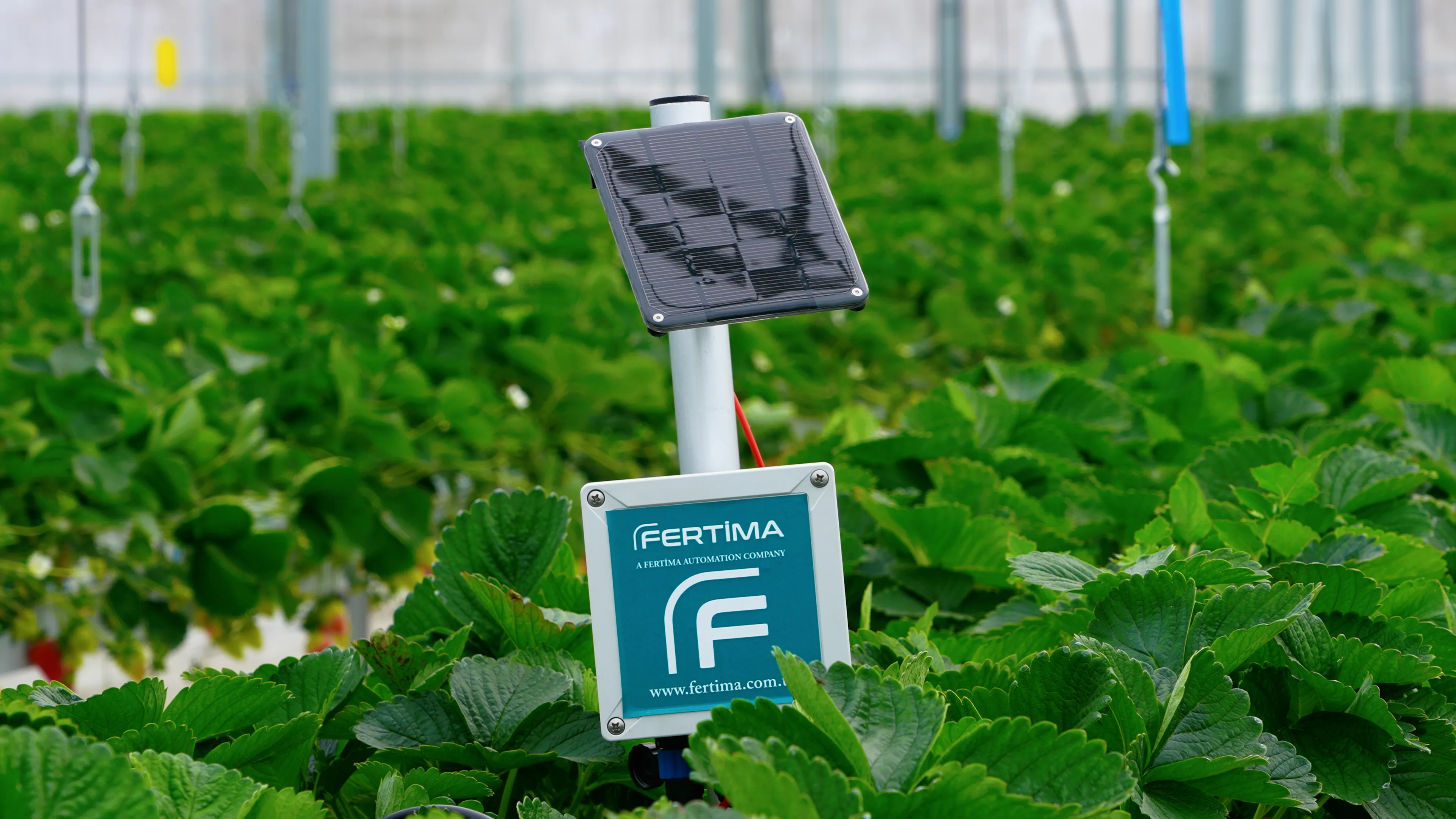 Fertima technology infrastructure