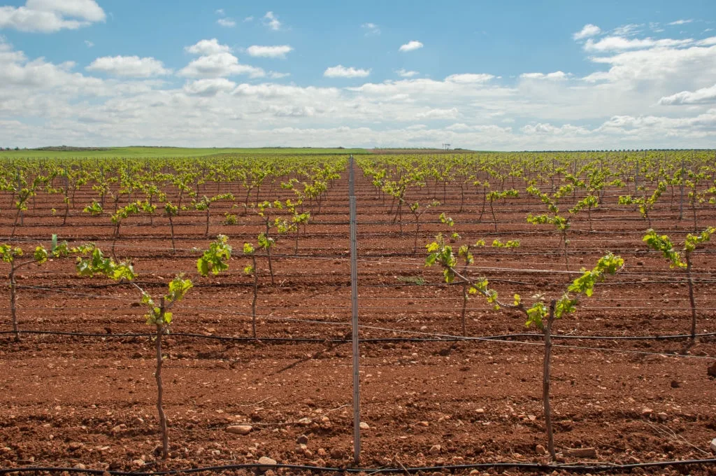 Integrated irrigation types