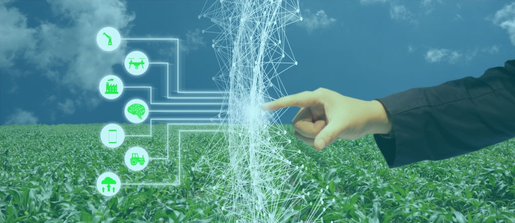 SeraERP reporting screen