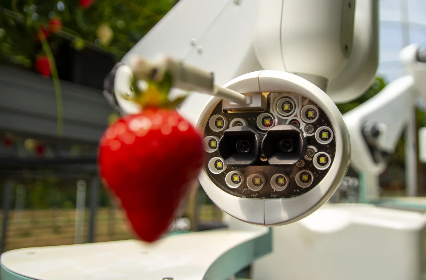 Efficiency and performance visibility