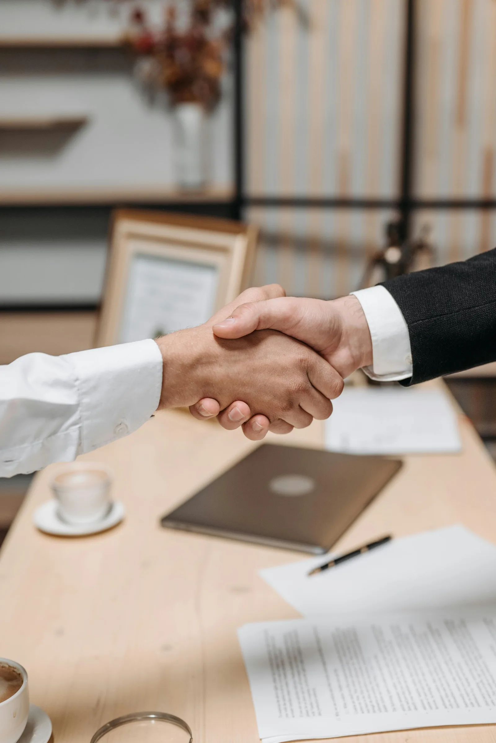 Government support consulting